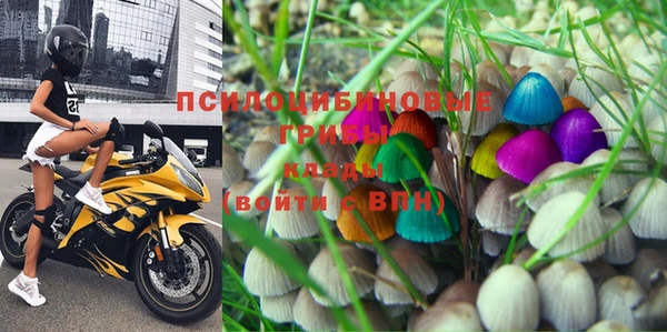 индика Белоозёрский