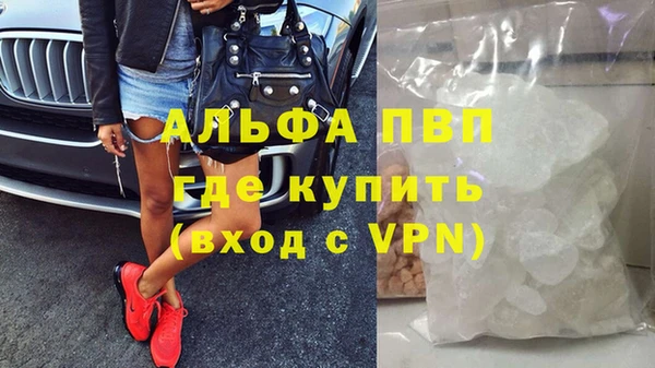 индика Белоозёрский
