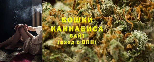 индика Белоозёрский
