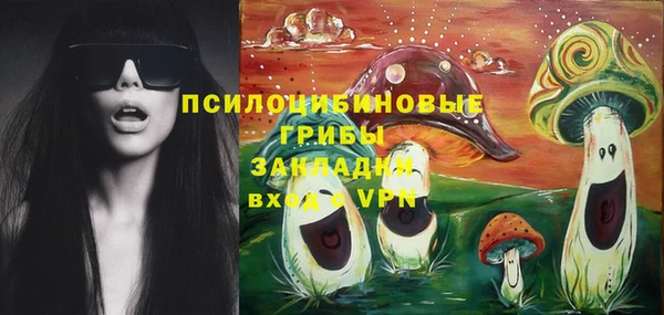 индика Белоозёрский